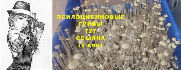 каннабис Шали