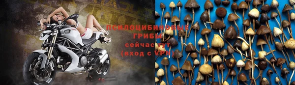 ALPHA-PVP Шадринск