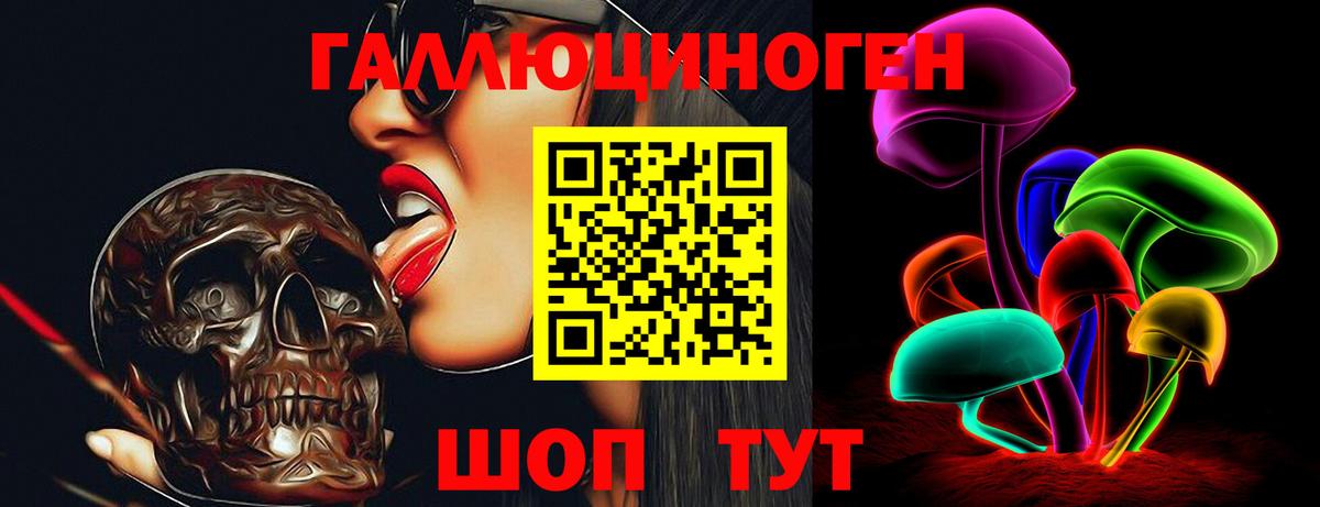 Пятигорск  Псилоцибиновые грибы Psilocybe  закладка  Вход с VPN 