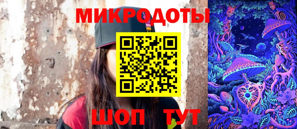 Псилоцибиновые грибы Psilocybe  Пятигорск  Галлюциногенные грибы Magic Shrooms 